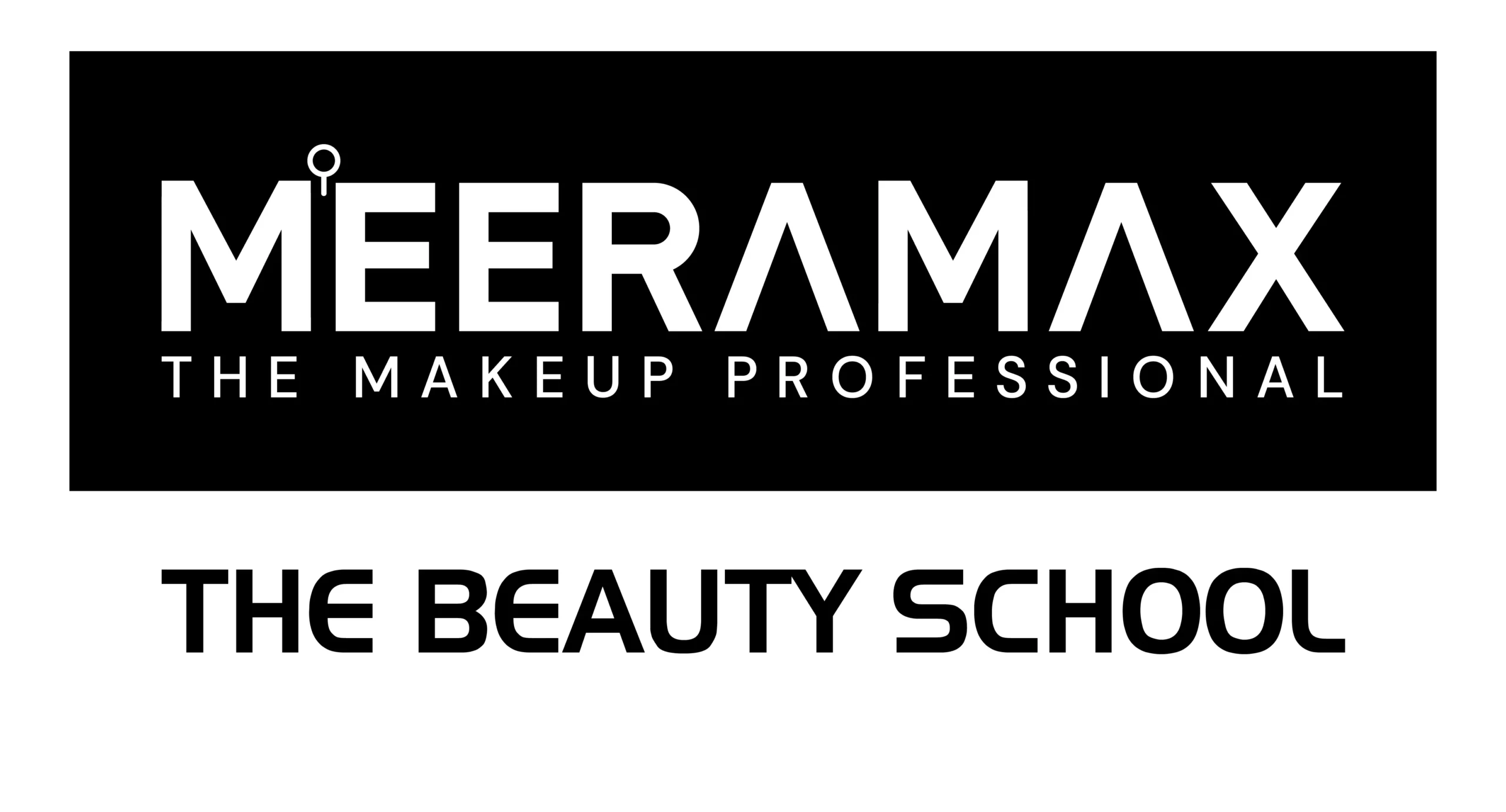 meeramax All logo-01 (1)